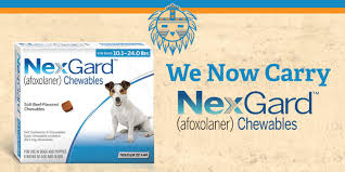We did not find results for: We Now Carry Nexgard Flea And Tick Preventative Medication For Dogs