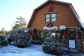Era key realty services, meghan schlesman. Services 3 Sleighbell Tree Farm