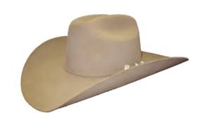 Check out our jbs hat pin stetson selection for the very best in unique or custom, handmade pieces from our top hats shops. Stetson Stetson Jbs Heritage 6x Felt Hat Sfjbsh 7540e5 Corral Western Wear