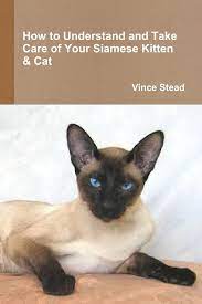 464 free images of siamese cat. How To Understand And Take Care Of Your Siamese Kitten Cat Stead Vince 9781105775673 Amazon Com Books