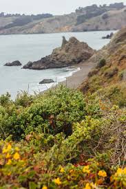 Compare 200+ booking sites worldwide. Black Sands Beach Hike To A Secret Beach Near San Francisco