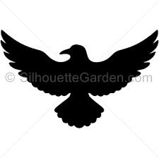 Birds in fly over trees whithout leaves. Flying Raven Silhouette