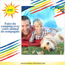 Tu vas faire des bisous à clara, des câlins et après tu. Quelques Conseils Pour Partir Au Camping Avec Son Chien Ou Son Chat Camping Campingchien Animauxdecompagnie Bienetre Vacances Chien Chien Chien Chat