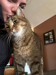 The green one is my current baby his name is bramble and the brown one with  the gorgeous wings is stretch I had him last year he was my first baby lol |