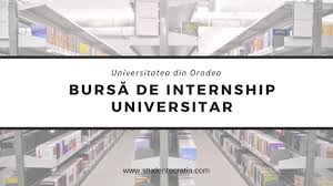 Ca urmare a hotărârii nr. StudenÈ›ii UniversitÄƒÈ›ii Din Oradea Pot Aplica Pentru Bursa De Internship Universitar StudentocraÅ£ia