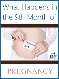 ninth month of pregnancy