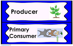 Since i know many of you are also looking for science experiments and activities to do with preschoolers, i decided to share them. Food Webs Lesson Plan A Complete Science Lesson Using The 5e Method Of Instruction Kesler Science