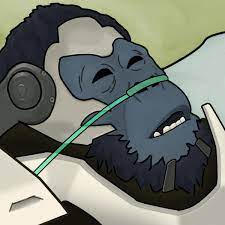 When Winston realize he's gonna solo tank in Overwatch 2 : rOverwatch