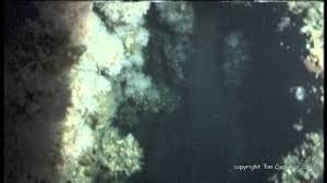 rms carpathia wreck location map