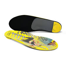 Image result for Orthopichonia