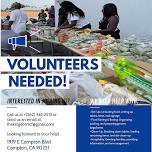 Kingdom Life Christian Fellowship Volunteer Program