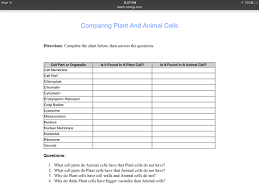 Animal And Plant Cells