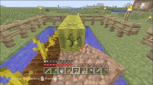 Thus, the cold and rainy conditions of the andes mountain range are anything but suitable to grow melons. How To Get Minecraft Melon Seeds