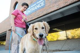 Paul pet hospital, located in saint paul, minnesota, is at dayton avenue 377. U Takes On Nationwide Vet Shortage The Minnesota Daily