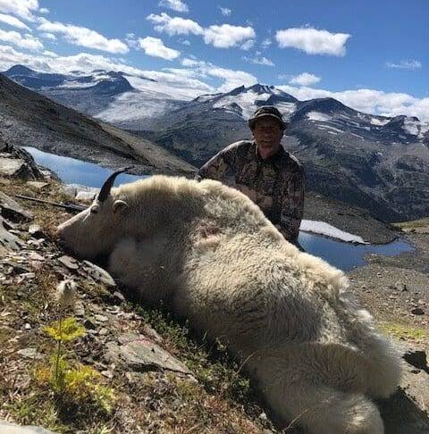 British Columbia Mountain Goat Hunting Trips » Premier Outfitters