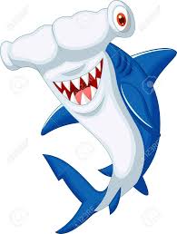 Ver y, sobre todo, bucear con estos tiburones es una de las mejores experiencias. Las Mejores 16 Ideas De Tiburon Martillo Tiburon Martillo Tiburones Dibujo De Tiburon