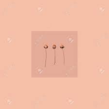 We did not find results for: 51 Background Peach On Wallpapersafari