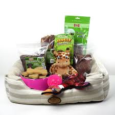 The psychology of why gift giving is so rewarding is simple. Dog Birthday A Year Older Dog Birthday Gift Basket Mutts Mousers Usa