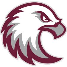Augsburg University Auggies Color Codes Hex, RGB, and CMYK - Team Color Codes