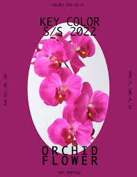 Our 30+ varieties of orchids receive one & half years of care before they leave. S S 2022 Key Color Orchid Flower Color Trends Fashion Orchid Flower 2022 Trends