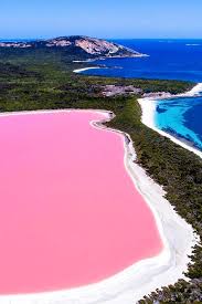 70 Best Honeymoon Destinations In 2020 2021 Wedding Forward Lake Hillier Australia Travel Pink Lake