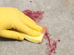 Reapplying scotchgard protector after carpet cleaning can help with the longevity of your carpet as well. Why Scotchgard Application Should Be Included With Carpet Cleaning Services
