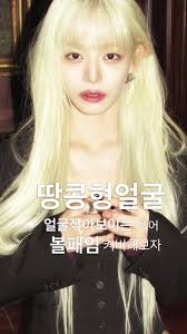 땅콩현 얼굴 특징