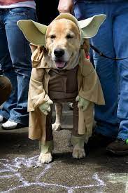 Alien Pet Costume Contest Yoda Dog Costume Pet Costumes Contest Pet Costumes