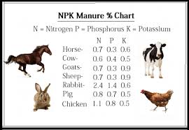 Components Of Different Kinds Of Composts Animal Excrement Components Of Different Kinds Of Composts Animal Excre In 2020 Manure Manure Composting Garden Compost