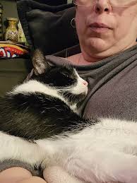 Congratulations to Turbo and their caretaker Hannah Hardmeier for being Kat  cover picture of the week ❤️ xx