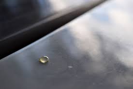 See full list on wikihow.com How To Get Tree Sap Off Your Vehicle All Makes Collision Centre