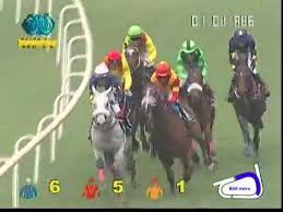 Mumbai Live Race Video Free Download Lyrics Mp3 And Mp4 Alba Online Mumbai live 1st race result 11/12/2020. alba online