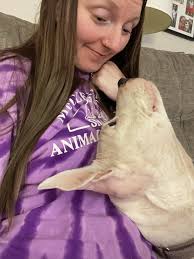 Non sottovalutare mai il tuo lavoro : r/petsitting