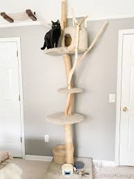 Check poison symptoms, diagnosis & treatments. How To Get Cats To Stop Scratching Furniture Cuckoo4design