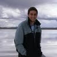 Image result for Memecylon rovumense