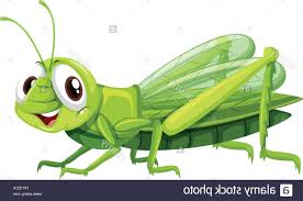 Use these free cricket insect png #124 for your personal projects or designs. Hd Green Cricket Insect Vector Cdr Free Vector Art Images Graphics Clipart