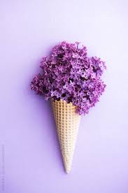 Lilacs In A Wafer Ice Cream Cone By Ruth Black Flower Ice Purple Wallpaper Purple Flowers