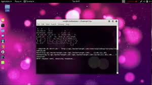 Kali Linux Crips Reverse Ip Lookup Youtube