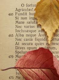 Neste dia mundial da poesia, a agência lembra que ela é apreciada em todas as culturas ao longo da história e é uma das formas mais ricas de expressão e identidade cultural e linguística. Dia Mundial Da Poesia