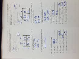 Worksheet Dna Rna And Protein Synthesis Answer Key Chapter 6 9 Kids Activities