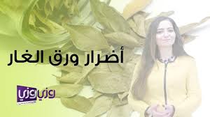 أضرار ورق الغار youtube bay leaves leaves