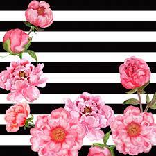 We did not find results for: Free Black White Floral Background Patterns