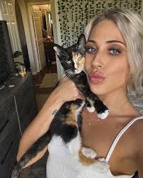 What are some available rentals in St. Pete or Tampa area for a person with  2 dogs and 1 cat?