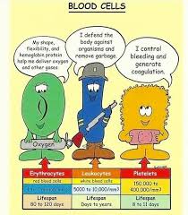 Pin On Nursing Books