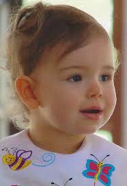 Roy Hutchens Obituary