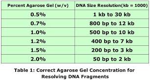 Dna Fragments Resolve Better On Correct Percent Agarose Gel