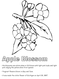 Apple blossom coloring page from apple tree category. Apple Blossom Coloring Page Coloring Home