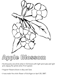 Apple blossom vintage floral spring branch rose sakura cherry flowers. Apple Blossom Coloring Page Coloring Home