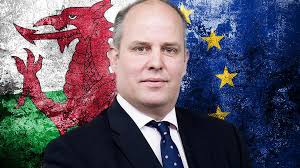 Next Welsh Tory leader 'must reflect members' Brexit views'