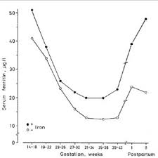 Anemia in pregnancy is a pathological condition characterized by a decrease in the number of erythrocytes and / or hemoglobin in a unit of blood volume. Pdf Iron Deficiency And Anaemia In Pregnant Women In Malaysia Still A Significant And Challenging Health Problem